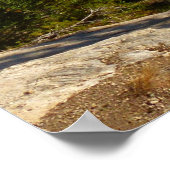 Poster Rocky Mountain Overlook au début de l'automne (Coin)