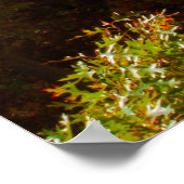 Poster Rocky River, Cleveland, Ohio (Coin)