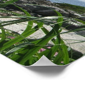 Poster Rocky Shore (Coin)