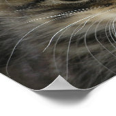 Poster Rocky the Kitten 2 (Coin)