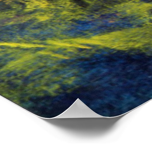 Poster Rococo Delight 1995 (Coin)