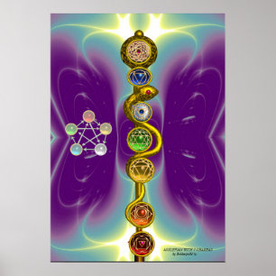 POSTER ROD OF ASCLEPIUS 7 CHAKRAS,YOGA ,SPIRITUAL ENERGY