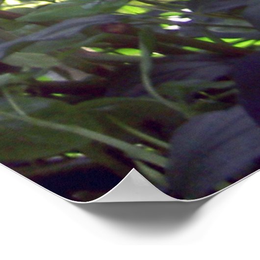 Poster Rode Bloemen (Hoek)