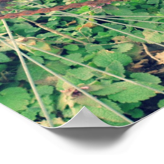  Poster rode fiets (Hoek)