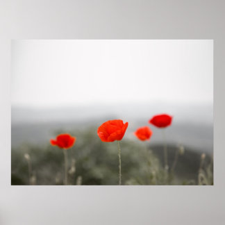 Poster rode papies/canvasafdruk