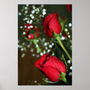 Poster rode rozen