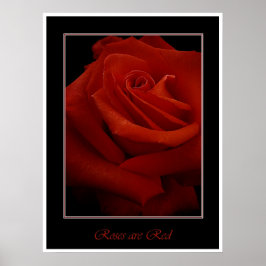 poster rode rozen