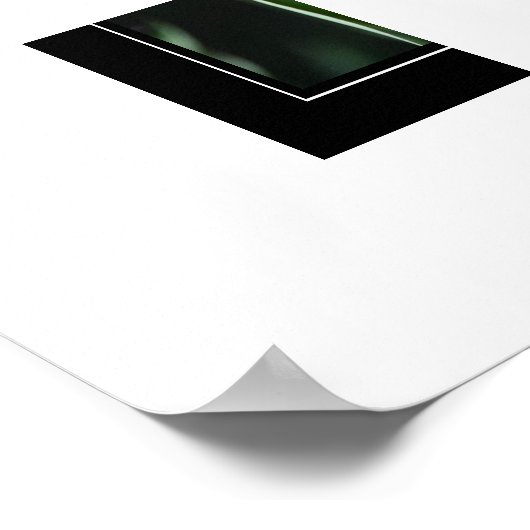 Poster rode tulpen (Hoek)