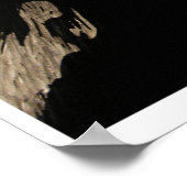 Poster Rodent (Coin)