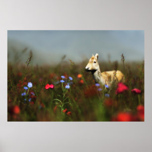 Poster Roe in a Meadow Print