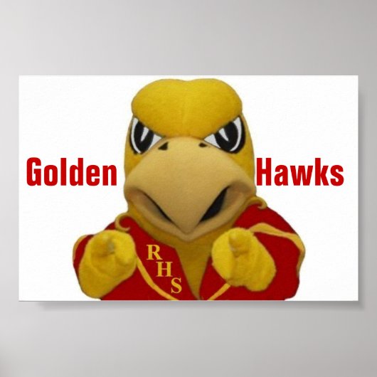 Poster Rogers Golden Hawk Costumed Mascot (Devant)