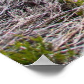 Poster Rogie Falls, Écosse (Coin)