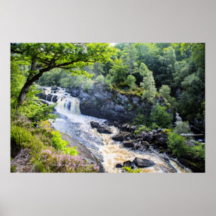 Poster Rogie Falls, Écosse
