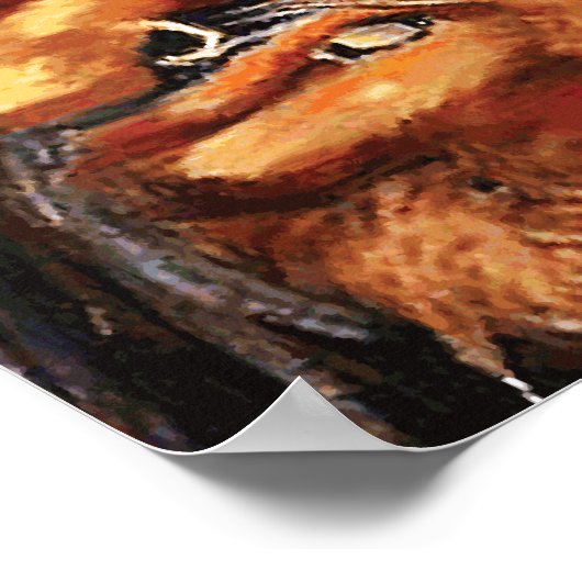 Poster Rogue Pirate (Coin)