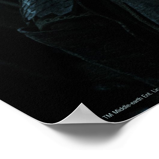 POSTER ROHIRRIM™ (Coin)