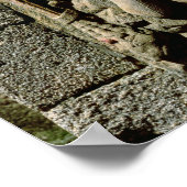 Poster Roi David (Coin)