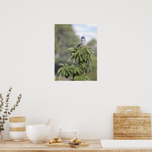 Poster Roi de la Colline (Cuisine)