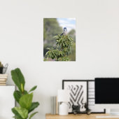 Poster Roi de la Colline (Bureau à domicile)