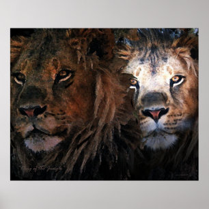 Poster Roi de la jungle