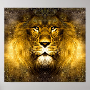 Poster Roi de lion