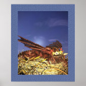 Poster Roi des Dragons (Devant)