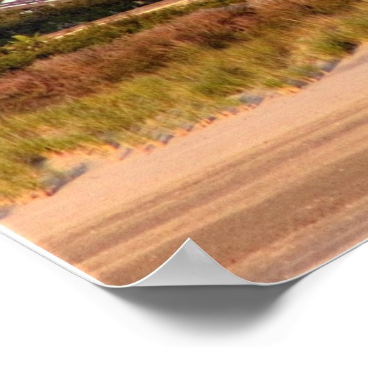 Poster Rollercoaster (Coin)