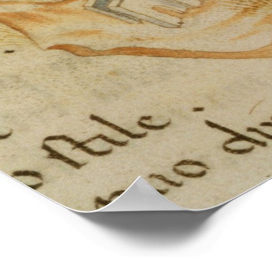 Poster Roma La Veuve (Coin)