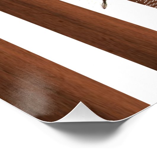 Poster romain (Coin)