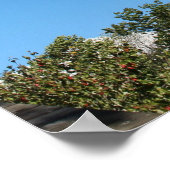 Poster Romains 10:13 Car quiconque invoquera... (Coin)