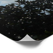 Poster Romains 8:31 Si Dieu est pour nous... (Coin)