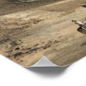 Poster Roman Vintage Art (Coin)