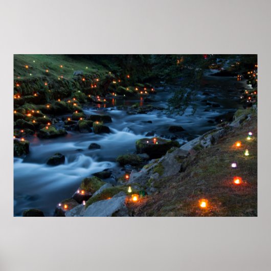 Poster Romance - Forêt Magique (Devant)