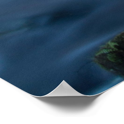 Poster Romance - Forêt Magique (Coin)