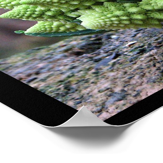 Poster Romanesco Broccoli Légumes (Coin)