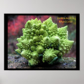 Poster Romanesco Broccoli Légumes (Devant)
