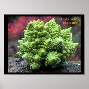Poster Romanesco Broccoli Légumes