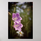 Poster Romantic Dark Flowers – Botanical Fantasy Boho (Devant)
