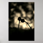 Poster Romantic Moody Flowers – Botanical Fantasy Boho (Devant)