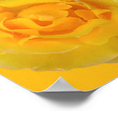 Poster Romantique Rose Jaune gouttes d'eau (Coin)