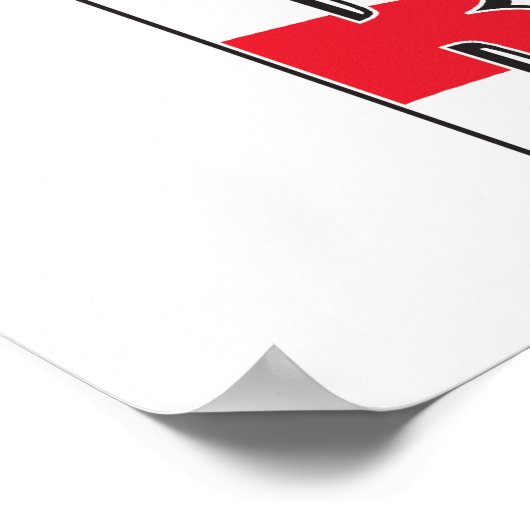 Poster Romney et Ryan (Coin)