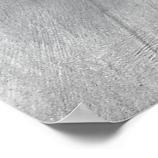 Poster Ron Paul (Coin)