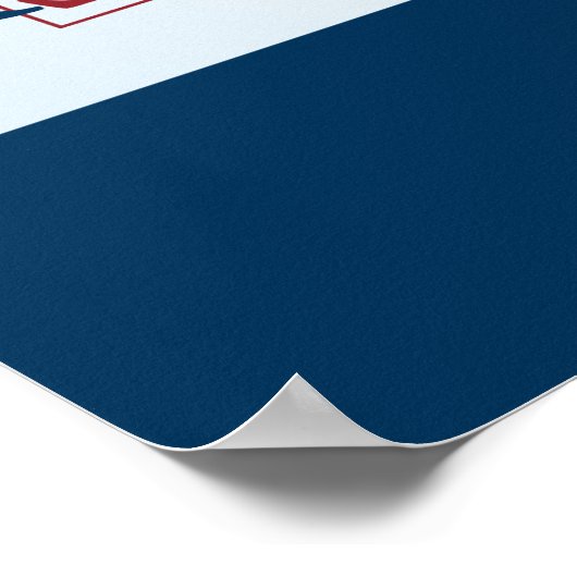 Poster Ron Paul (Coin)