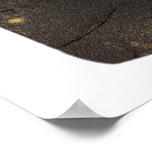 Poster Ron Weasley 1 (Coin)