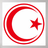 Rondel de l'armée de l'air tunisienne