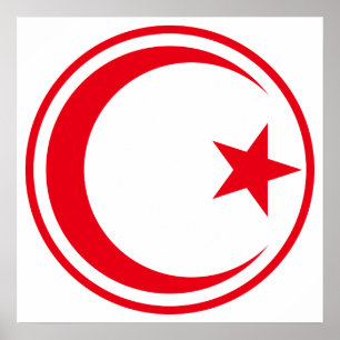 Poster Rondel de l'armée de l'air tunisienne