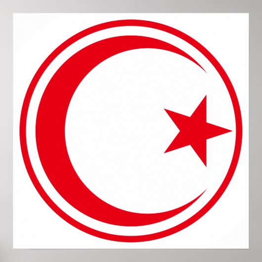 Poster Rondel de l'armée de l'air tunisienne (Devant)