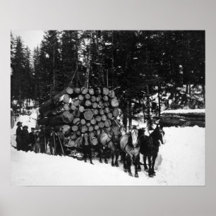 Poster Rondins étant transportés sur Sleigh par une