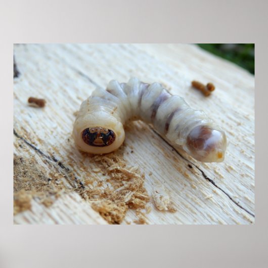 Poster rondom de kop (Voorkant)