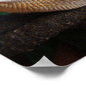 Poster Ronnie 2 (Coin)