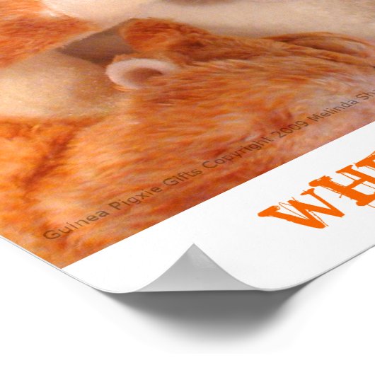 Poster Roo Stuffy & Skippy Peeg (Coin)